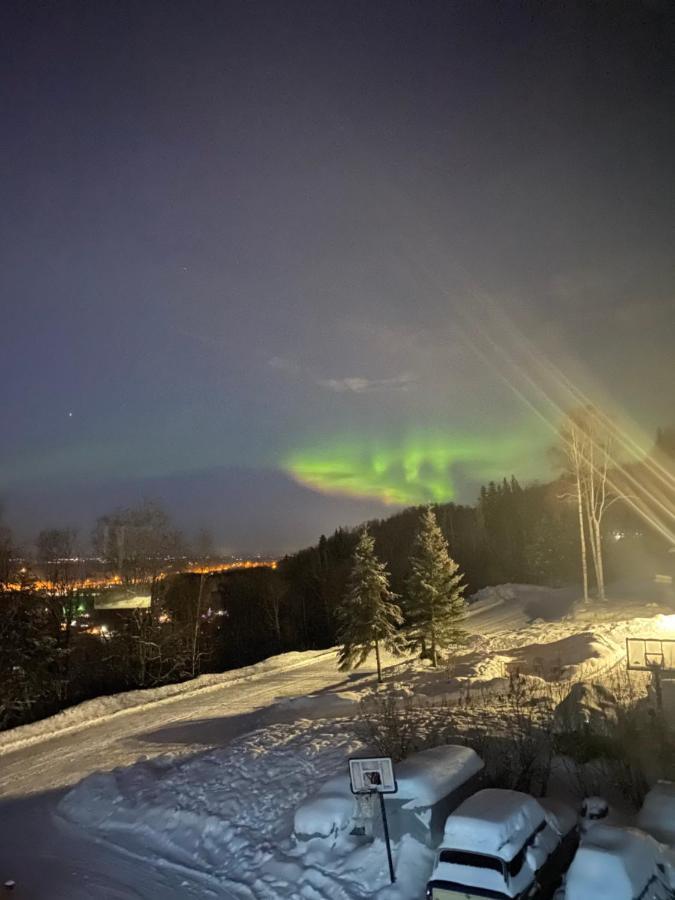 Alaskan Adventure Awaits! Eagle River 外观 照片
